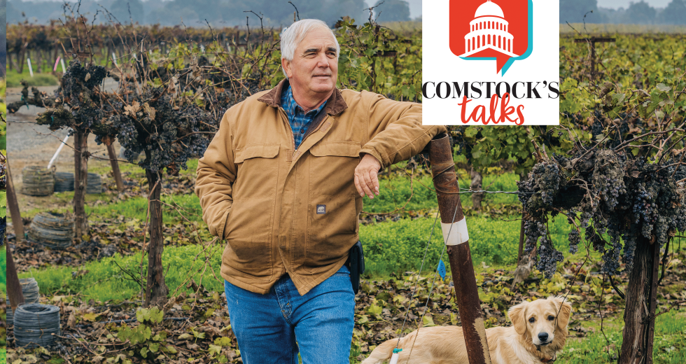 In November, Ken Oneto of KLM Ranches in Elk Grove was busy ripping out his merlot vines after making no wine grape sales last year. (Photo by Francisco Chavira)