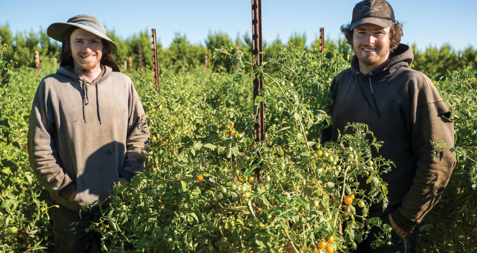 Identical twin brothers Andrew and Eric Walker started Farmboy Organics on a small property in Winters that their parents once farmed. (Photo by Brad Branan)