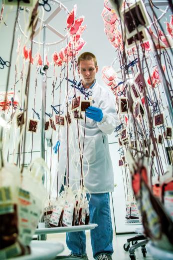 In a refrigerated storage room at the BloodSource headquarters, lab technician Ian Martin processes a batch of blood collected from a recent blood drive. It’s a labor-intensive process that cannot be automated, and the blood bank processes more than 250,000 such units a year.
