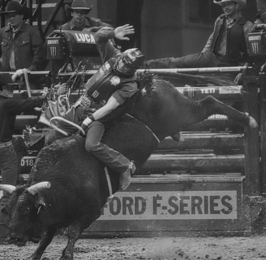 Brazilian Ramon de Lima, here doing his first ride of the competition, stayed on for eight seconds for all four of his rides during the weekend, taking home a $40,626 paycheck. Lima won his first PBR career event in Sacramento.