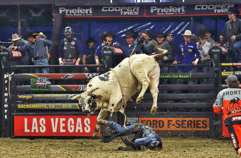 : Troy Wilkinson manages to avoid being trampled by Whiskey Trip during first-round action.