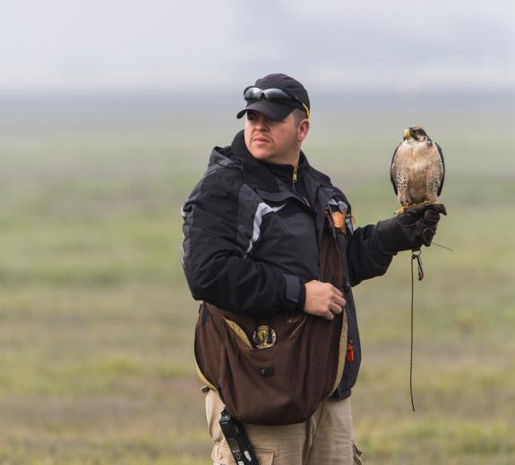 He learned fast, landed a job with a pigeon abatement program and now, many years later, Goodrich Camp manages one of the nation’s few military falconry programs, training birds through positive reinforcement and a covetable diet. He learned fast, landed a job with a pigeon abatement program and now, many years later, Goodrich Camp manages one of the nation’s few military falconry programs, training birds through positive reinforcement and a covetable diet.