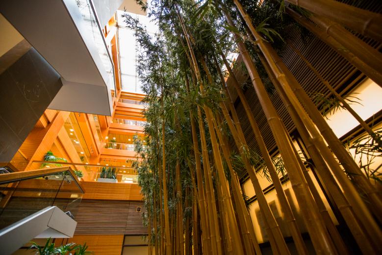 An urban oasis in the heart of downtown Sacramento, the CalPERS headquarters offers its employees numerous indoor and outdoor spaces, including quiet, secluded gardens and multiple rooftop courtyards lined with bamboo and drought-tolerant, native grasses. An urban oasis in the heart of downtown Sacramento, the CalPERS headquarters offers its employees numerous indoor and outdoor spaces, including quiet, secluded gardens and multiple rooftop courtyards lined with bamboo and drought-tolerant, native grasses.