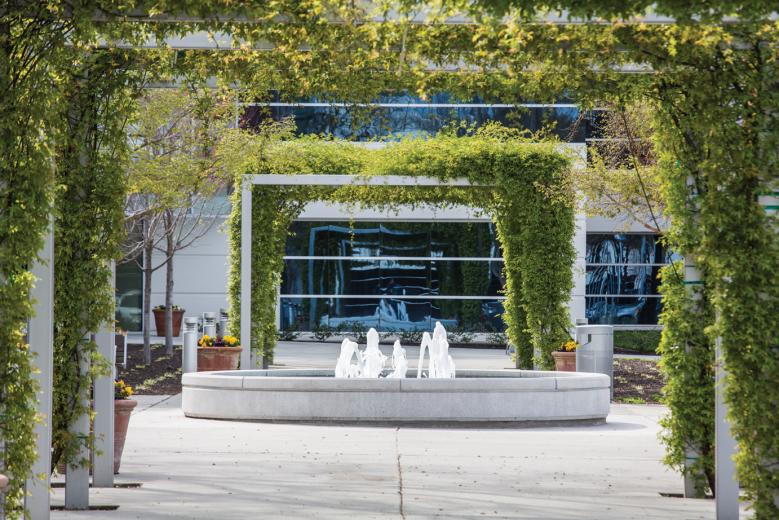 About two years ago, the team at Sacramento-based Carson Landscape Industries overhauled nearly 10,000-square-feet outside the entrances to 3 office buildings on Creekside Oaks Drive in Natomas. The original landscape materials, selected by a Bay Area designer, were suited for a cooler, coastal climate, and the plants failed to thrive in the Northern California heat. About two years ago, the team at Sacramento-based Carson Landscape Industries overhauled nearly 10,000-square-feet outside the entrances to 3 office buildings on Creekside Oaks Drive in Natomas. The original landscape materials, selected by a Bay Area designer, were suited for a cooler, coastal climate, and the plants failed to thrive in the Northern California heat.