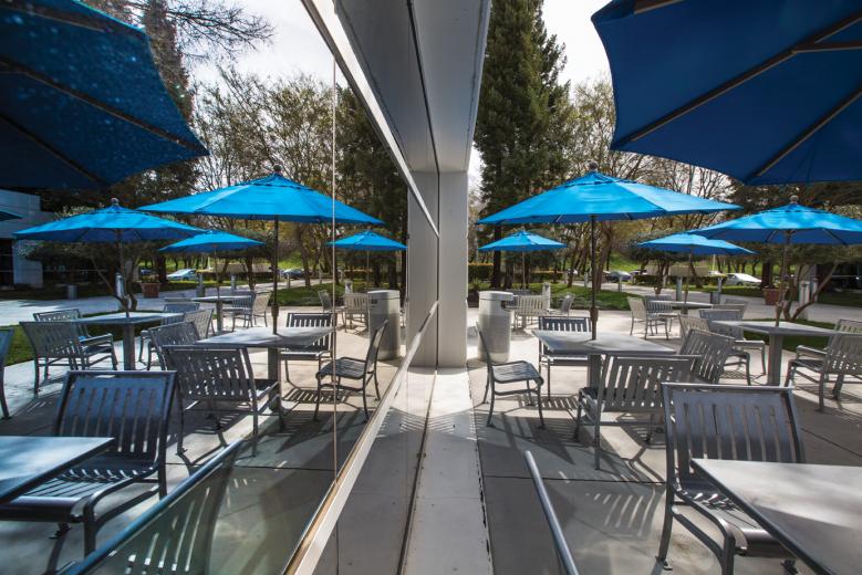 Under the guidance of property manager Laurie Melson, Carson Landscape selected yellow-blade flax, variegated tinkerbell agapanthus, vinca minor and an assortment of other evergreens that would provide continuous color for the office complex. Under the guidance of property manager Laurie Melson, Carson Landscape selected yellow-blade flax, variegated tinkerbell agapanthus, vinca minor and an assortment of other evergreens that would provide continuous color for the office complex.