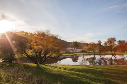 Marin French Cheese Co. Marin French Cheese Co.