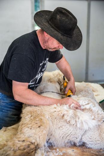 Husband-and-wife team Karen Ball and Russell Ratti (pictured) have been raising alpacas for 12 years. The family-owned operation also consists of their daughter Michaela Ratti and sons Joshua, Joseph, Benjamin and Samuel Swink. Husband-and-wife team Karen Ball and Russell Ratti (pictured) have been raising alpacas for 12 years. The family-owned operation also consists of their daughter Michaela Ratti and sons Joshua, Joseph, Benjamin and Samuel Swink.