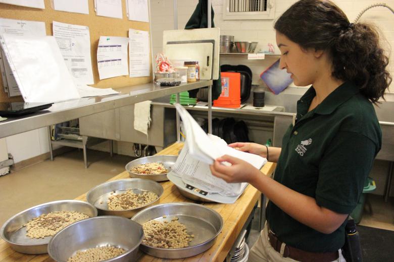 Zookeeper Celina Barbero prepares food in the kitchen of the Sacramento Zoo, where she got a job after earning a degree in animal science from UC Davis. “I didn’t want to be a vet. I went into animal science hoping to explore more about animal care and found the zoo and really started loving it.” Zookeeper Celina Barbero prepares food in the kitchen of the Sacramento Zoo, where she got a job after earning a degree in animal science from UC Davis. “I didn’t want to be a vet. I went into animal science hoping to explore more about animal care and found the zoo and really started loving it.”