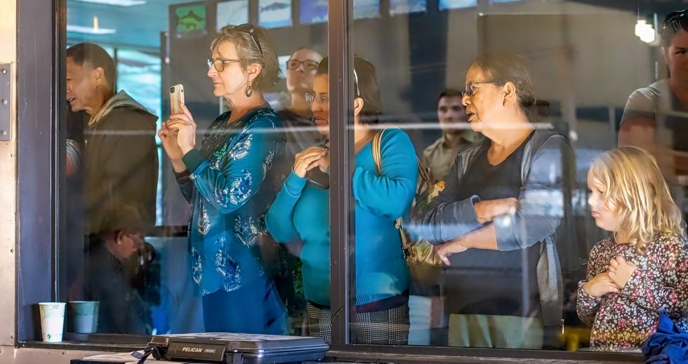 Visitors watch the salmon being processed at Nimbus Fish Hatchery. (Photo by Steve Martarano)