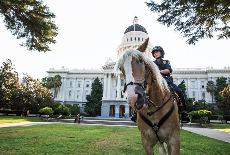 California Highway Patrol Officer Kari Dillon was a bill collector before making a career change and becoming a police officer Before she joined the CHP, she had no idea riding horses was even an option. She’s been riding for about about a year and a half now and is currently the only female in the CHP’s Mounted Unit.  California Highway Patrol Officer Kari Dillon was a bill collector before making a career change and becoming a police officer Before she joined the CHP, she had no idea riding horses was even an option. She’s been riding for about about a year and a half now and is currently the only female in the CHP’s Mounted Unit.