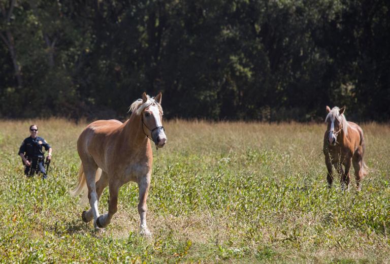 Photos: Ken James Captions: Christine Calvin Photos: Ken James Captions: Christine Calvin