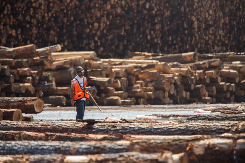 One of the largest wood-manufacturing companies in California, Sierra Pacific Industries started with a small sawmill on the North Coast. Founded by “Curly” Emmerson in 1979 and followed by his son “Red,” the company now employs approximately 3,800 people. 