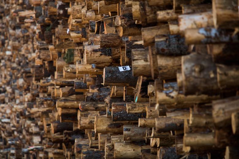 Not only does it produce doors and windows, it also produces a better habitat by managing forests in California and Washington State. And the type of harvesting that SPI does simulates nature’s own methods. Not only does it produce doors and windows, it also produces a better habitat by managing forests in California and Washington State. And the type of harvesting that SPI does simulates nature’s own methods.