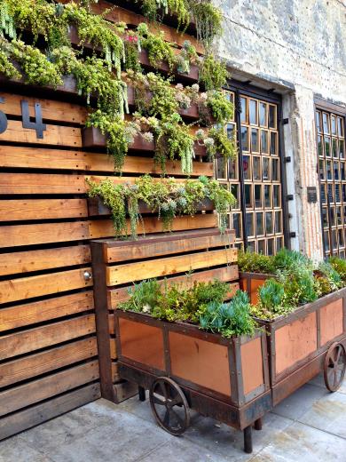 The Ironside Fish & Oyster Restaurant's "living wall" The Ironside Fish & Oyster Restaurant's "living wall"