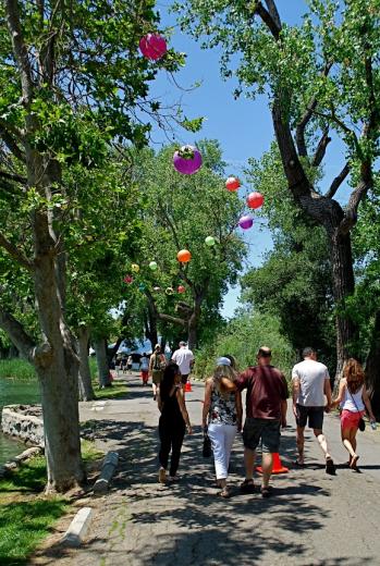 This year's ZinFest boasted a low-key crowd happily swirling and sipping through the warm afternoon. This year's ZinFest boasted a low-key crowd happily swirling and sipping through the warm afternoon.