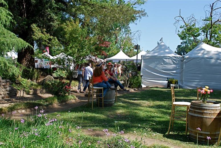 The weather was beautiful out in Lodi for the 11th Annual ZinFest! The weather was beautiful out in Lodi for the 11th Annual ZinFest!
