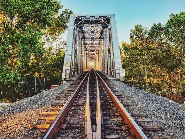 Daily winner: Nik Palomares Daily winner: Nik Palomares