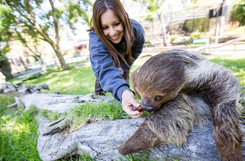 "It's amazing, the stuff we get to do and the interaction we have with the animals," she says. "Education and conservation are a big part of the job, and when you see the kids expressions, when they're up close to an animal, you know they'll remember that experience forever."
 "It's amazing, the stuff we get to do and the interaction we have with the animals," she says. "Education and conservation are a big part of the job, and when you see the kids expressions, when they're up close to an animal, you know they'll remember that experience forever."