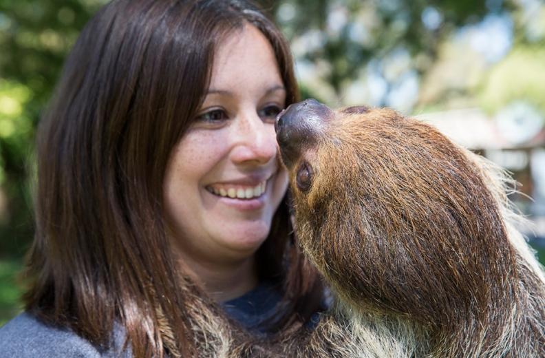 After a few years, she turned her attention to wildlife.
 After a few years, she turned her attention to wildlife.