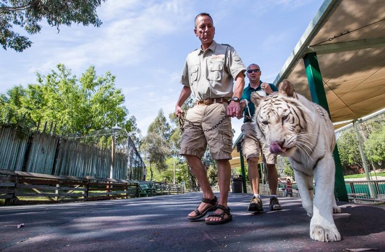 That was 20 years ago, and he has moved from dolphin show host to elephant and primate trainer to veterinary technician.
 That was 20 years ago, and he has moved from dolphin show host to elephant and primate trainer to veterinary technician.