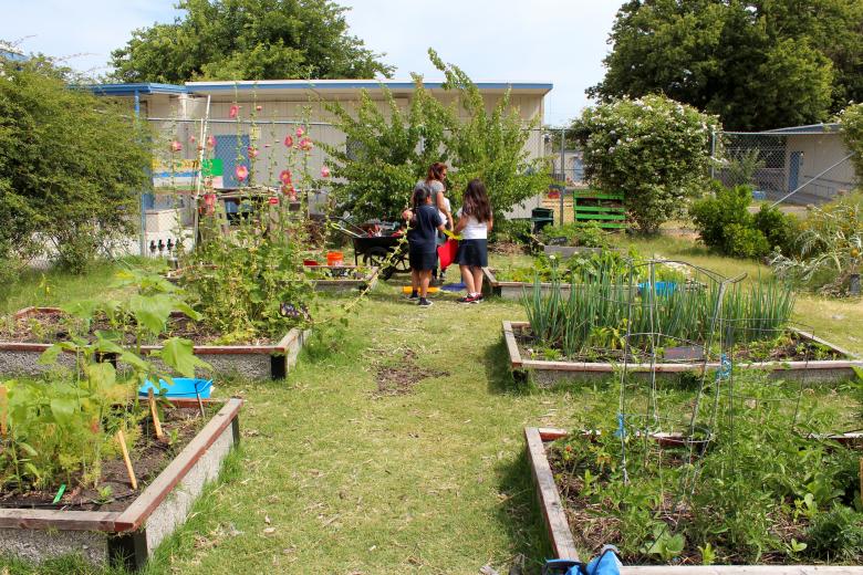 Pacific Elementary School is one of 10 campuses enrolled in Soil Born Farms' School Garden Program, which has campuses in Sacramento City Unified School District and Folsom Cordova Unified School District. (Photo by Sena Christian)