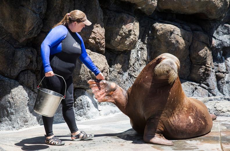 And they're not always quick to rise. "We'll come with food, and they'll be like, 'That's cool, we're good thanks,' and choose to sleep instead of eat," Warner says.
 And they're not always quick to rise. "We'll come with food, and they'll be like, 'That's cool, we're good thanks,' and choose to sleep instead of eat," Warner says.