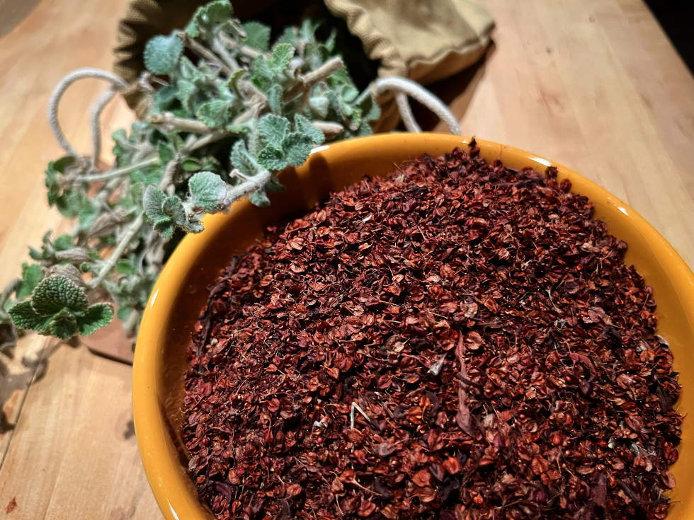 Jen Benedet forages a wide variety of plant foods, including these curly dock seeds and white hoarhound leaves. (Photo courtesy of Jen Benedet)