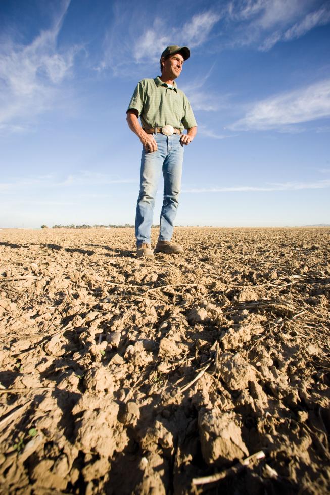 This year, farmer Bill Koster fallowed 80 percent of his land, relying on wells to keep only his almond and walnut trees alive.