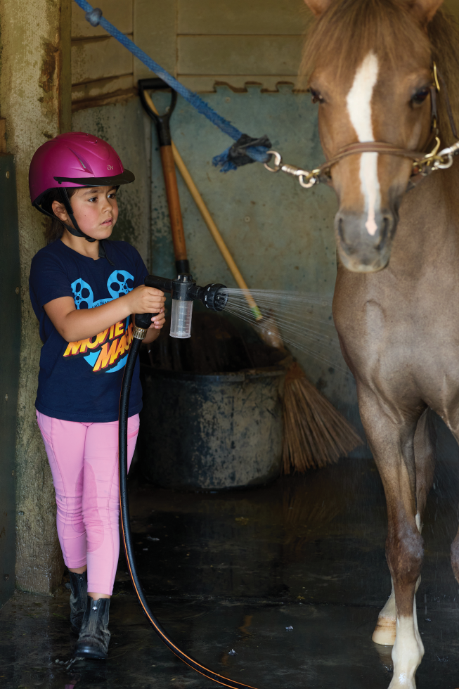 A young rider washes a pony at Riverbend Equestrian, which offers lessons for all ages in addition to horse training. (Photo by Fred Greaves)