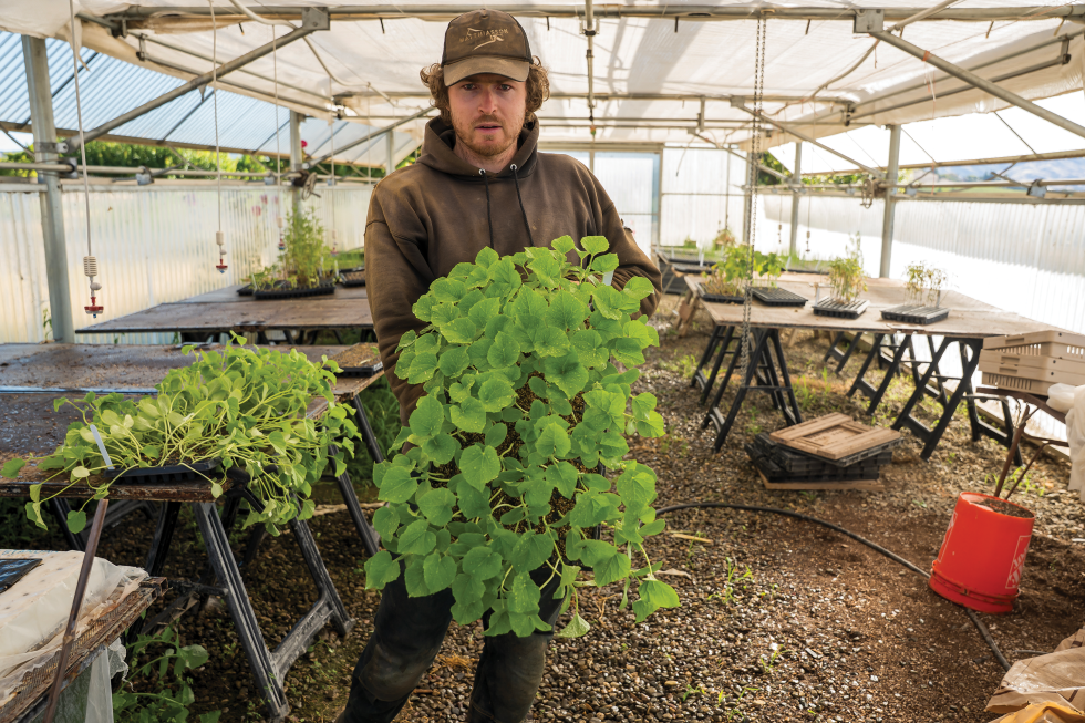 Eric Walker shows produce grown on his farm in Winters. (Photo by Brad Branan)