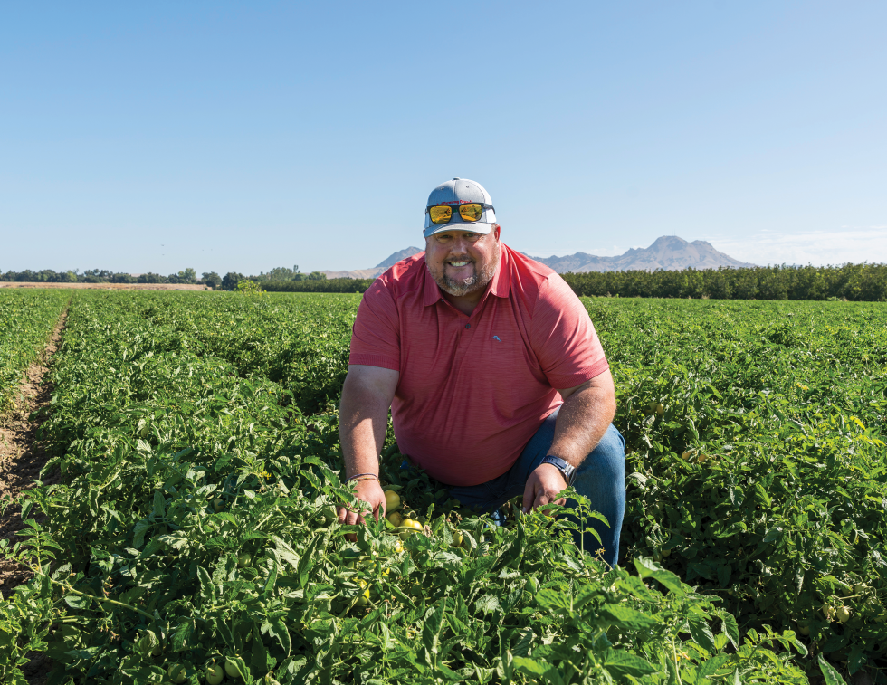 Brian Park has made tomatoes the centerpiece of his farm in Sutter County near the Sutter Buttes.